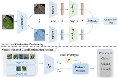 Few-shot disease recognition algorithm based on supervised contrastive learning